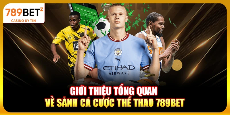 Giới thiệu tổng quan về sảnh cá cược thể thao 789BET
